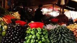 Le globe-cooker - Frédéric Chesneau Maroc