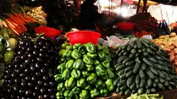 Le globe-cooker - Frédéric Chesneau