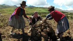 Le globe-cooker - Frédéric Chesneau
