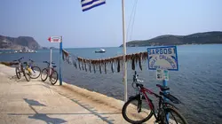 Le globe-cooker - Frédéric Chesneau