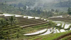 Le globe-cooker - Frédéric Chesneau