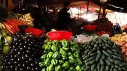 Le globe-cooker - Frédéric Chesneau