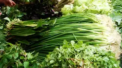 Le globe-cooker - Frédéric Chesneau