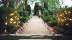 Le Golden Bachelor S01E01