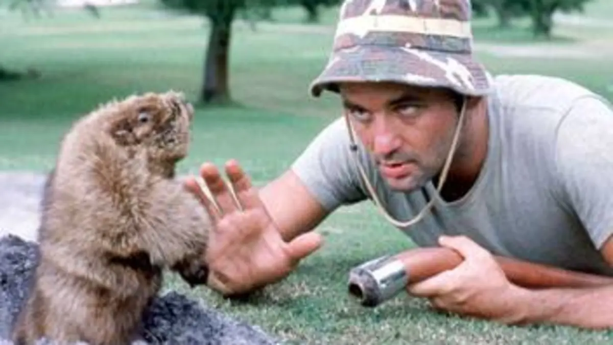 Le golf en folie