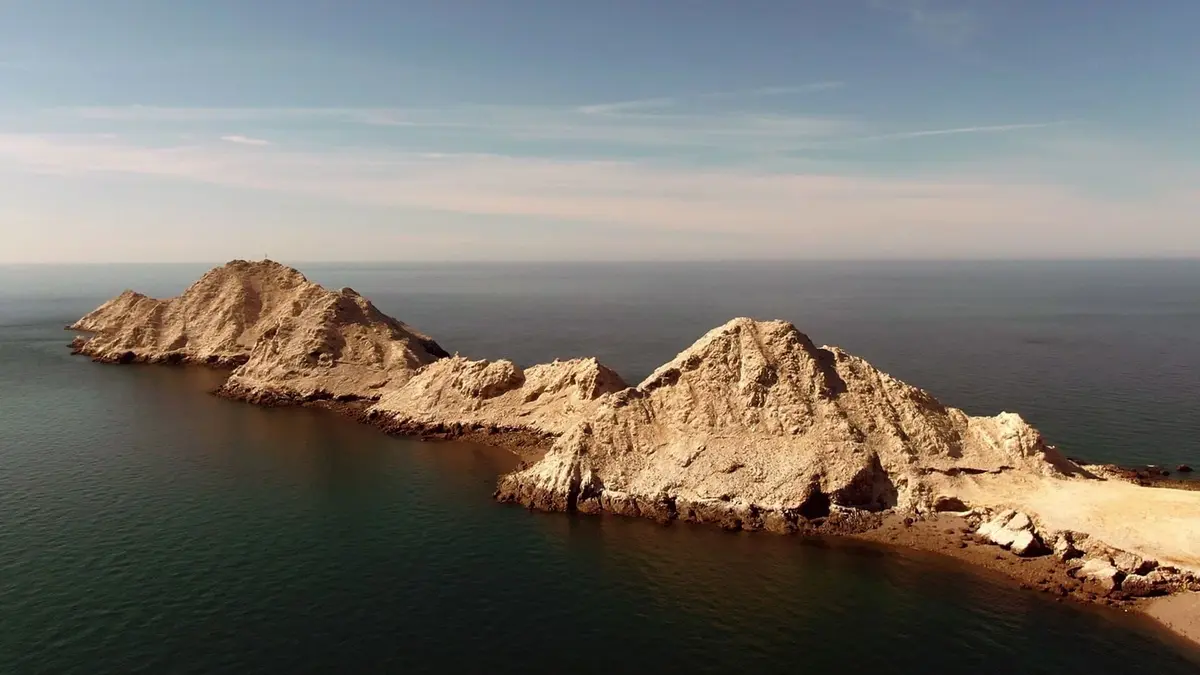 Le golfe de Californie Le berceau de l'aquarium du monde