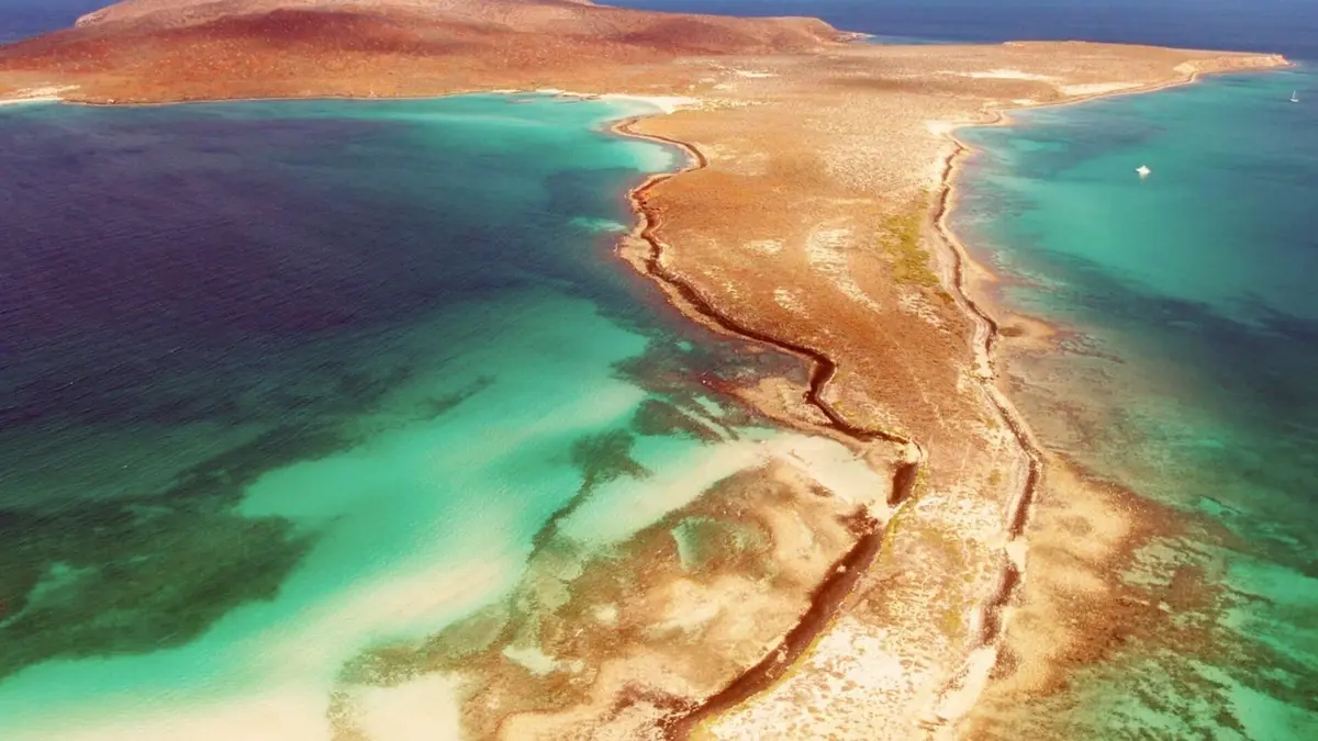 Le golfe de Californie Un trésor sous-marin menacé