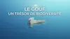 Le gouf, un trésor de biodiversité