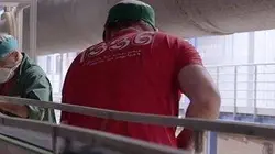 Visuel de Le goût de l'espoir