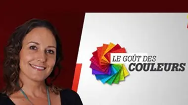 Le goût des couleurs Dominique Ades-Hazan