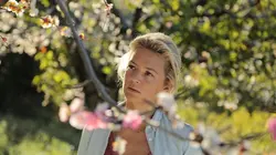 Le goût des merveilles