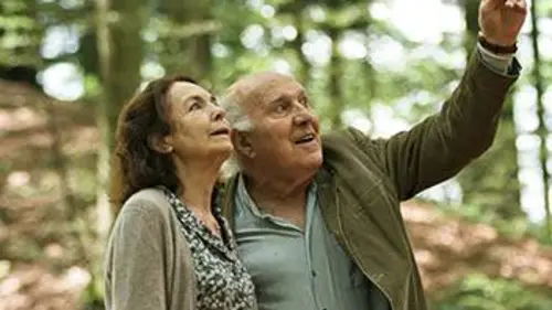 Casting Le goût des myrtilles