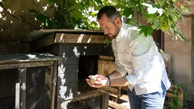 Voyage crétois à Messei