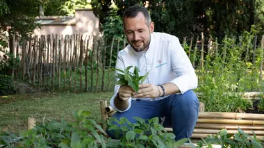 Tarte aux plantes et pesto à La-Haye-de-Routot