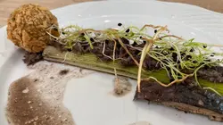 Le goût des rencontres Nouvelle-Aquitaine S14E120 Lamproie en deux façons à Sainte-Terre