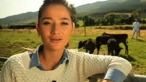 Le goût du voyage Irlande