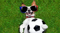 Sur RMC Life à 21h10 : Le grand bêtisier