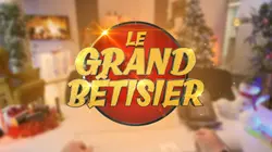 Casting Le grand bêtisier