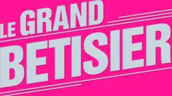 Le grand bêtisier