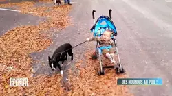 Le grand bêtisier 2023