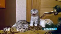 Le grand bêtisier 2023