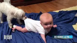 Le grand bêtisier 2023