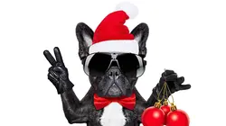 Le grand bêtisier Noël