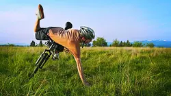 Le grand bêtisier Toussaint