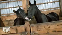 Le grand bêtisier Toussaint