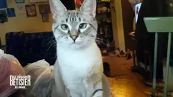 Le grand bêtisier Toussaint