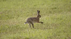 Le grand bêtisier Spécial Pâques