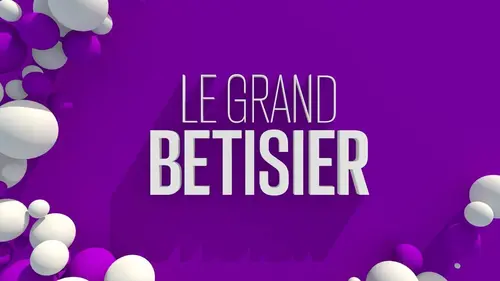 Le grand bêtisier