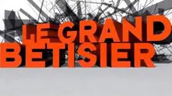 Sur TF1 à 23h30 : Le grand Bêtisier de l'été