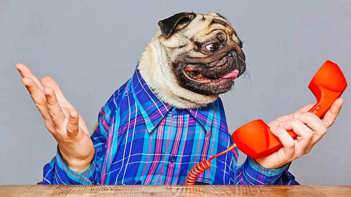 Le grand bêtisier de Noël 2019