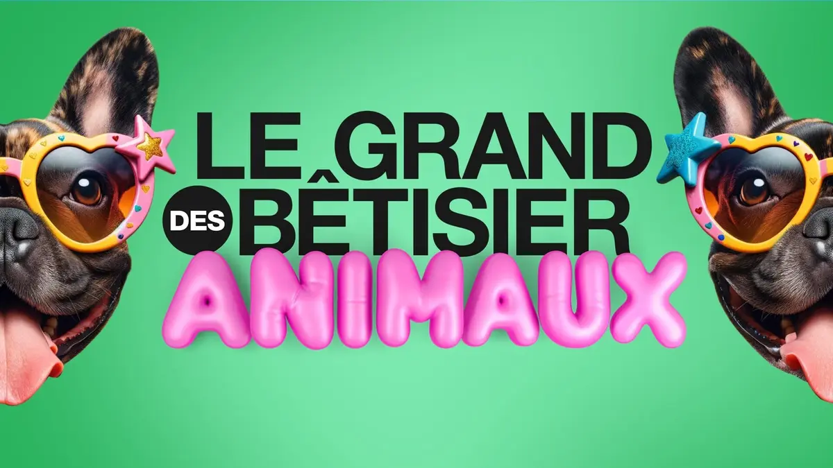 Le grand bêtisier des animaux S01E01