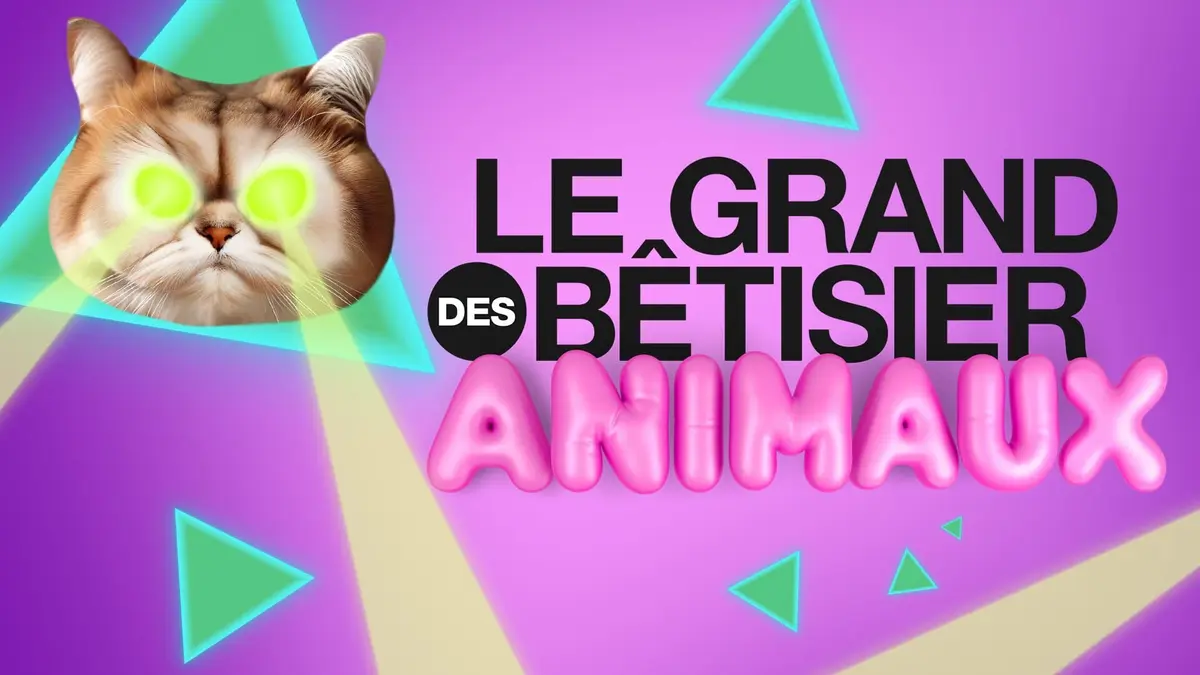Le grand bêtisier des animaux S01E03