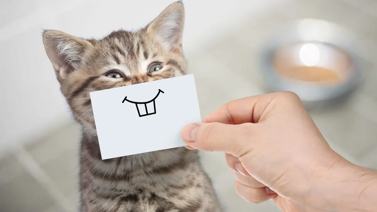 Le grand bêtisier des animaux S02E03