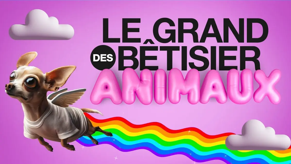 Le grand bêtisier des animaux S02E03 Émission 3