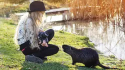 Le grand bêtisier des animaux 2018
