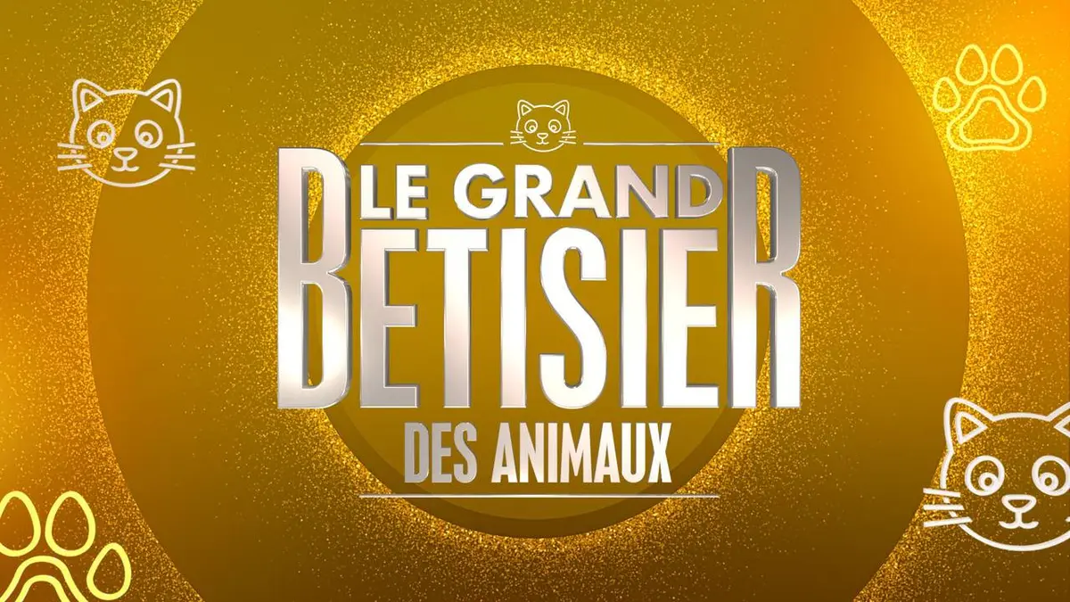 Le grand bêtisier des animaux Volume 4