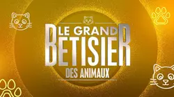 Le grand bêtisier des animaux Volume 4