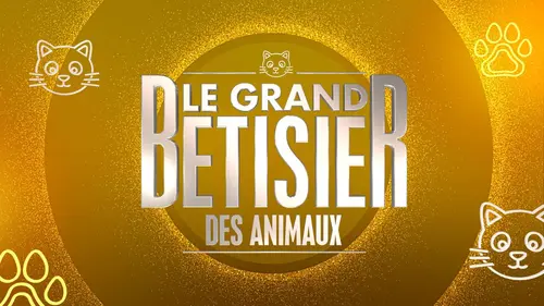 Le grand bêtisier des animaux Volume 4
