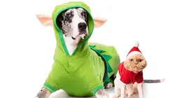 Le grand bêtisier des animaux