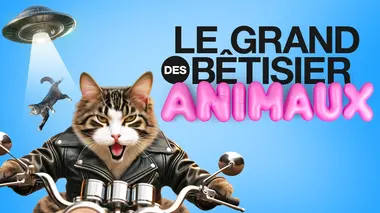 Le grand bêtisier des animaux S01E02