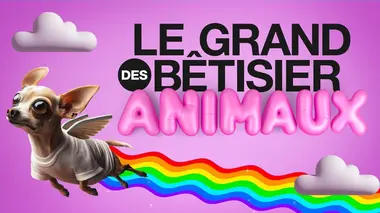 Le grand bêtisier des animaux S02E03 Émission 3
