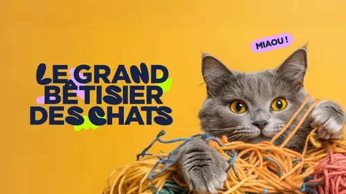 Le grand bêtisier des chats
