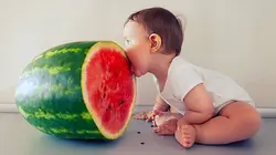 Le grand bêtisier Home Vidéo 2019