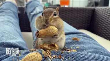 Le grand bêtisier Pâques