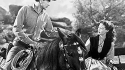 Visuel de Le grand Bill