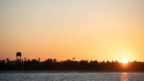 Le grand cactus sous le soleil
